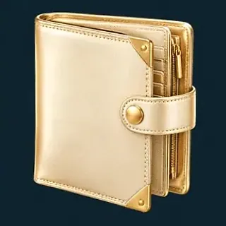 Leather bifold wallet — Wolf Winner